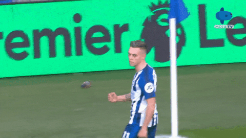 GIF by MolaTV