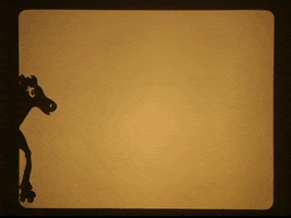 falenabalena sports cute horse trip GIF