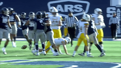 Usu GIF by USUAthletics