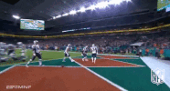 New England Patriots Football GIF by NFL