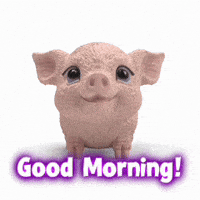 Happy Good Morning GIF by schleich®