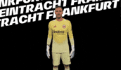 Lets Go Bundesliga GIF by Eintracht Frankfurt
