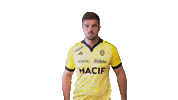 Sport Celebration Sticker by Stade Rochelais