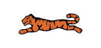 Fashion Street Sticker by Le TIGRE