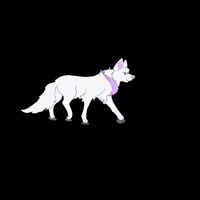 DatWolf27 wolf furry wolf walking GIF