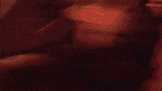 Dance Summer GIF by Polyvinyl Records
