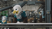 adweek nfl fly eagles philadelphia GIF