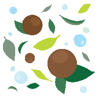 Skincare Hydration Sticker by innisfree