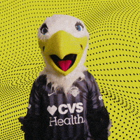 Lets Go Soccer GIF by Washington Spirit