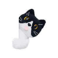 comfortseoul cat comfort comfortseoul 삐용 Sticker