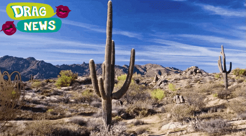 Drag Queen Lol GIF by NBC LX