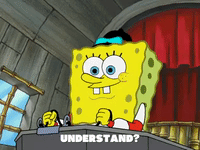 season 5 GIF by SpongeBob SquarePants