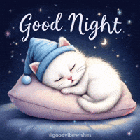 Sleepy Good Night GIF
