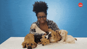Drunk Dogs GIF by BuzzFeed