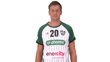 Handball-Bundesliga Handball Sticker by LIQUI MOLY HBL