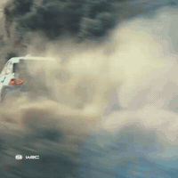 Cars Portugal GIF by FIA World Rally Championship