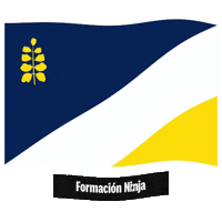 Flag Spain Sticker by Formación Ninja
