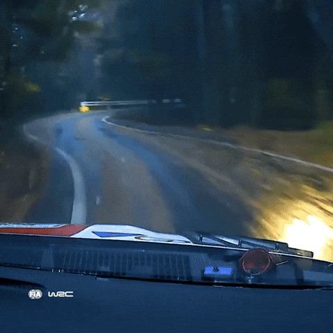 Crash GIF by FIA World Rally Championship