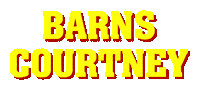 Rock N Roll Hair Sticker by Barns Courtney