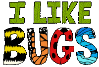 Creepy Crawlies Butterfly Sticker