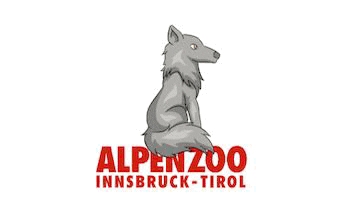 Wolf GIF by Alpenzoo Innsbruck