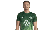 Fail Germany Sticker by VfL Wolfsburg