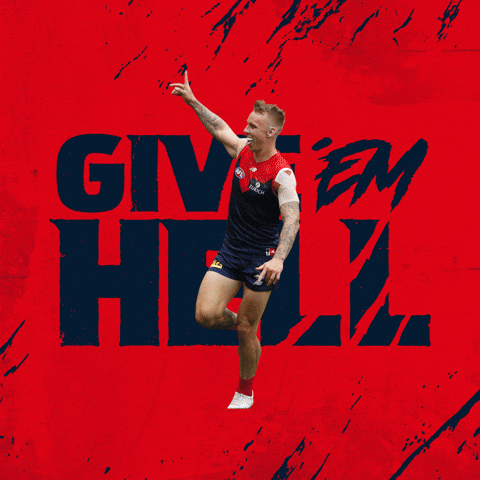 Melbourne Demons Game GIF by Melbournefc