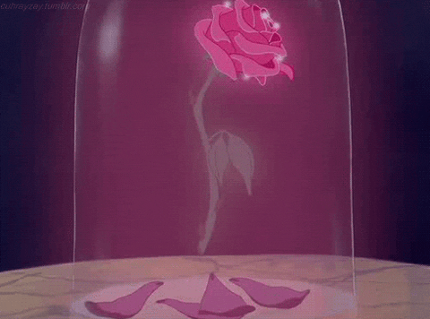 disney GIF