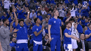 Gojays GIF by Creighton University Athletics