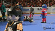 ice hockey sport GIF by NHL