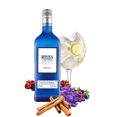 RIVES giphyupload carnaval teatro gintonic Sticker
