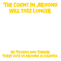 Be Patient 2020 Election Sticker by Creative Courage