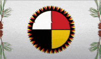 Corythecory888 native native american turtle island lumbee GIF