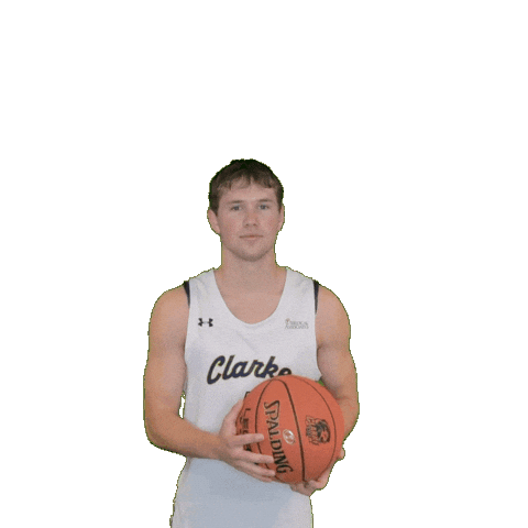Mens Basketball Sticker by Clarke University