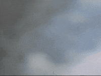 Footage Oaf GIF by jorgemariozuleta