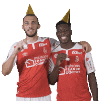 Happy Birthday Football Sticker by Stade de Reims