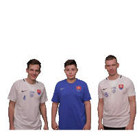 Malyfutbal Sticker by Slovenský zväz malého futbalu