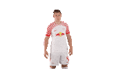 Football Yes Sticker by RB Leipzig