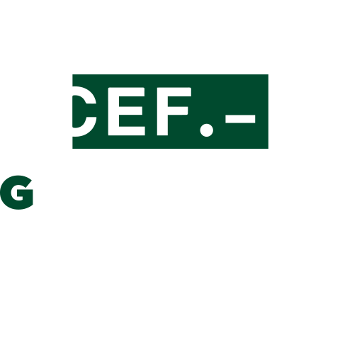 CEFSantoDomingo giphyupload graduacion udima Sticker