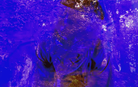 GIF by MUTEK.MX