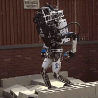 life inserting GIF