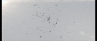Nasa Coming Together GIF by Goldmaster