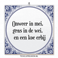 Humor Nl GIF by Tegelspreuken.nl