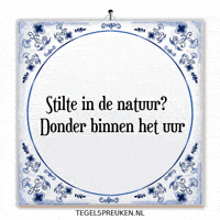 Nl Spanning GIF by Tegelspreuken.nl