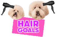 Dog Beauty Sticker