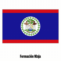 Belize Flag GIF by Formación Ninja
