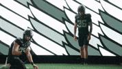 Oregon Football GIF by GoDucks