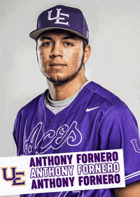 Purple Aces Baseball GIF by UE Athletics