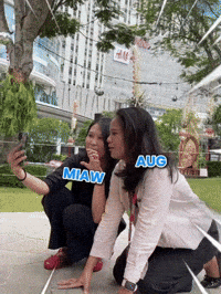 Akita Inu Meow GIF by KOL.ID