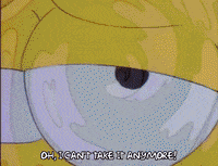 homer simpson GIF